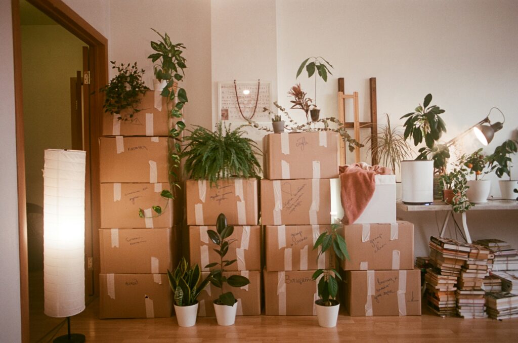 moving boxes stacked